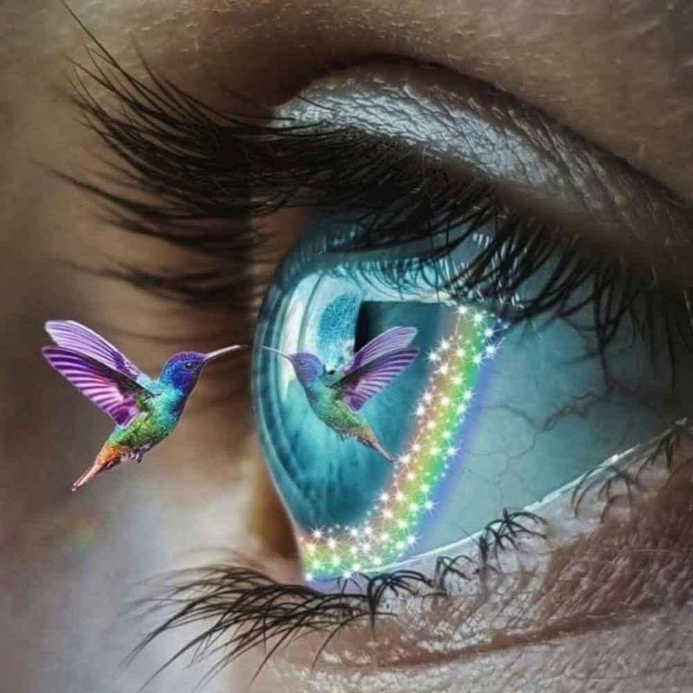 Meet your Posher, Cornelia